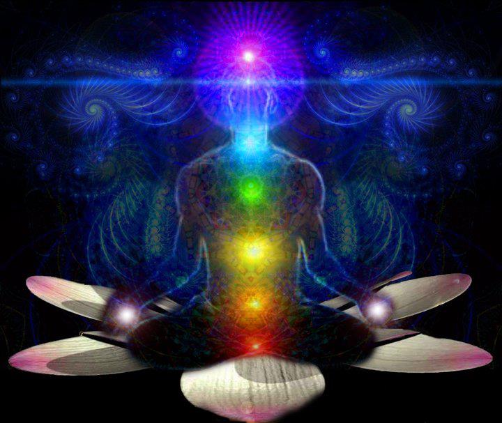 chakra lotus