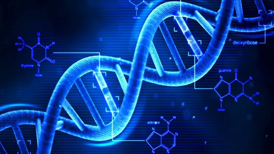 DNA Activation