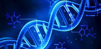 DNA Activation