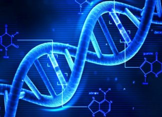 DNA Activation