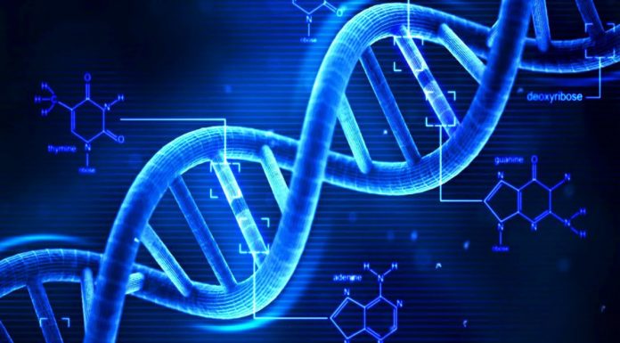 DNA Activation