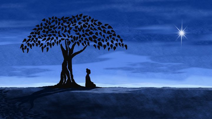 Meditate Under Tree