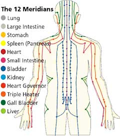 12-meridians