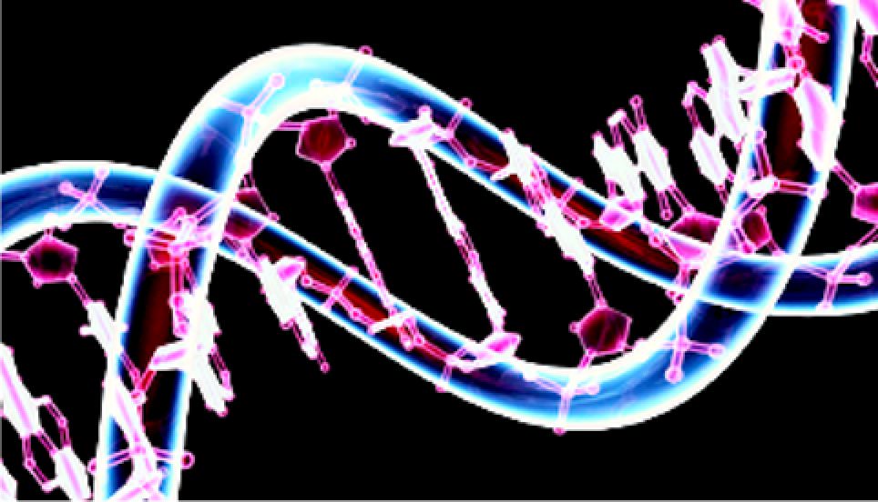 DNA programming