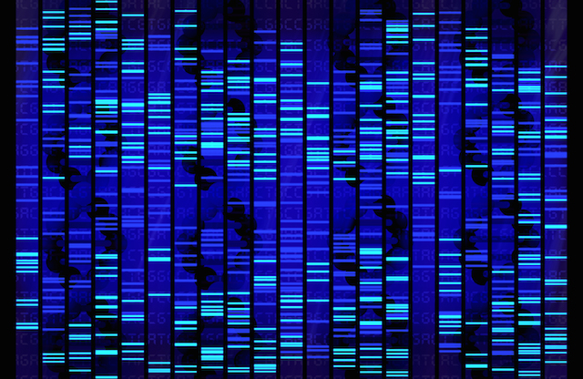 DNA-sequence