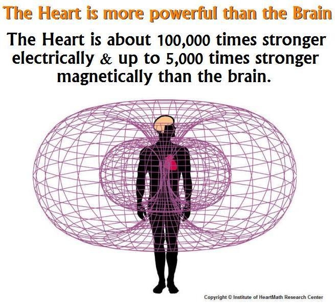 heart field