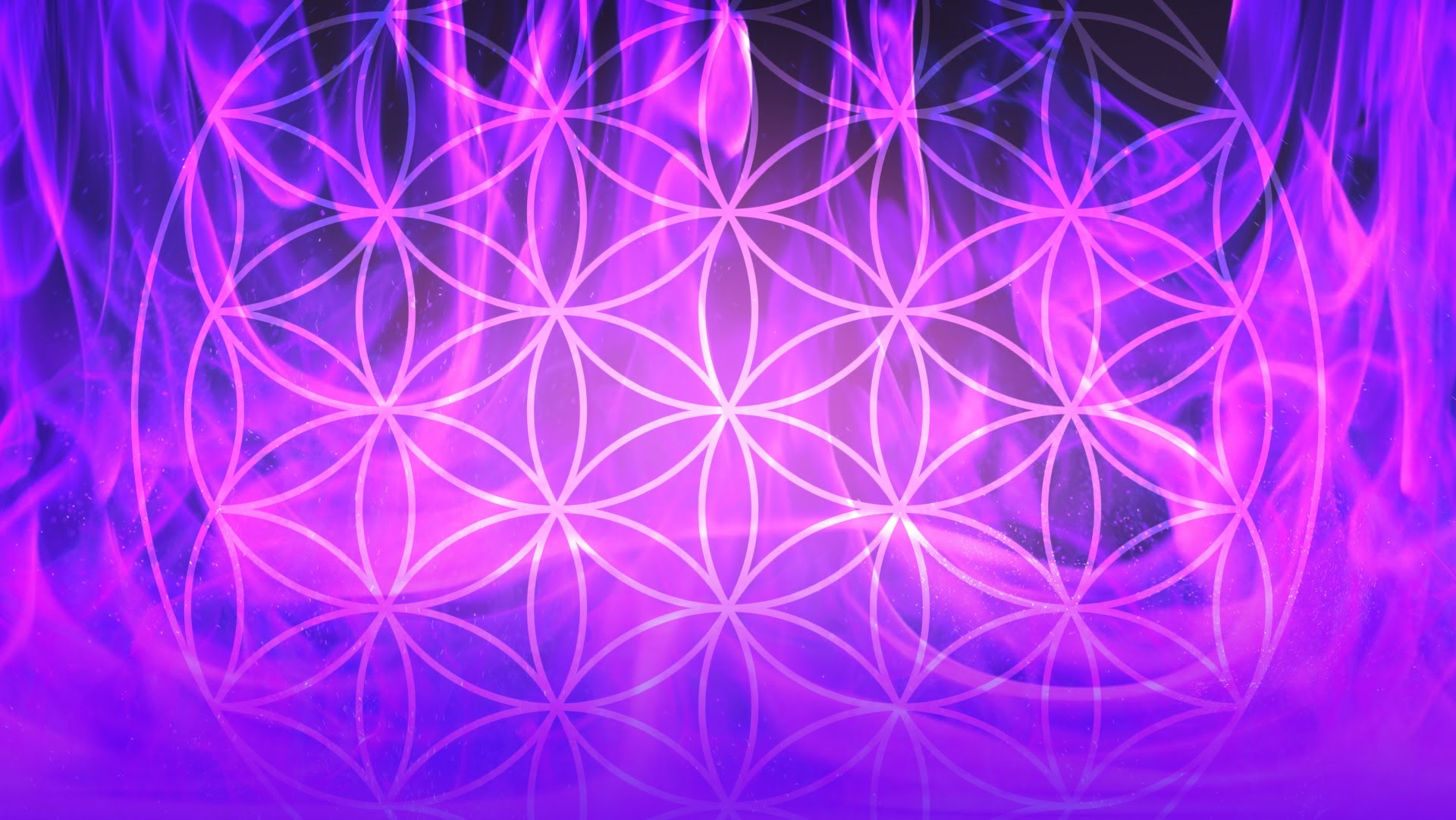 Violet Geometry
