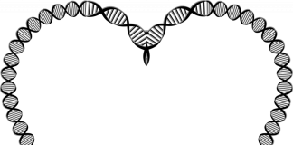 dna activation