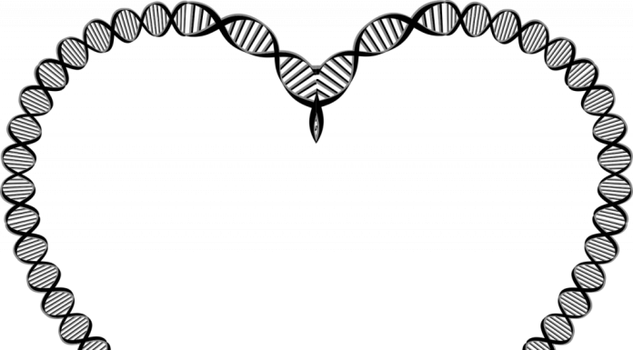 dna activation