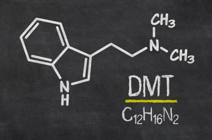 DMT, the spirit molecule