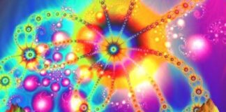 NDE and DMT experiences
