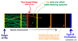 The Great Filter and human evolution