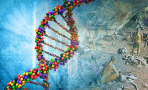 Human DNA activation from 2 strand to 12 strand